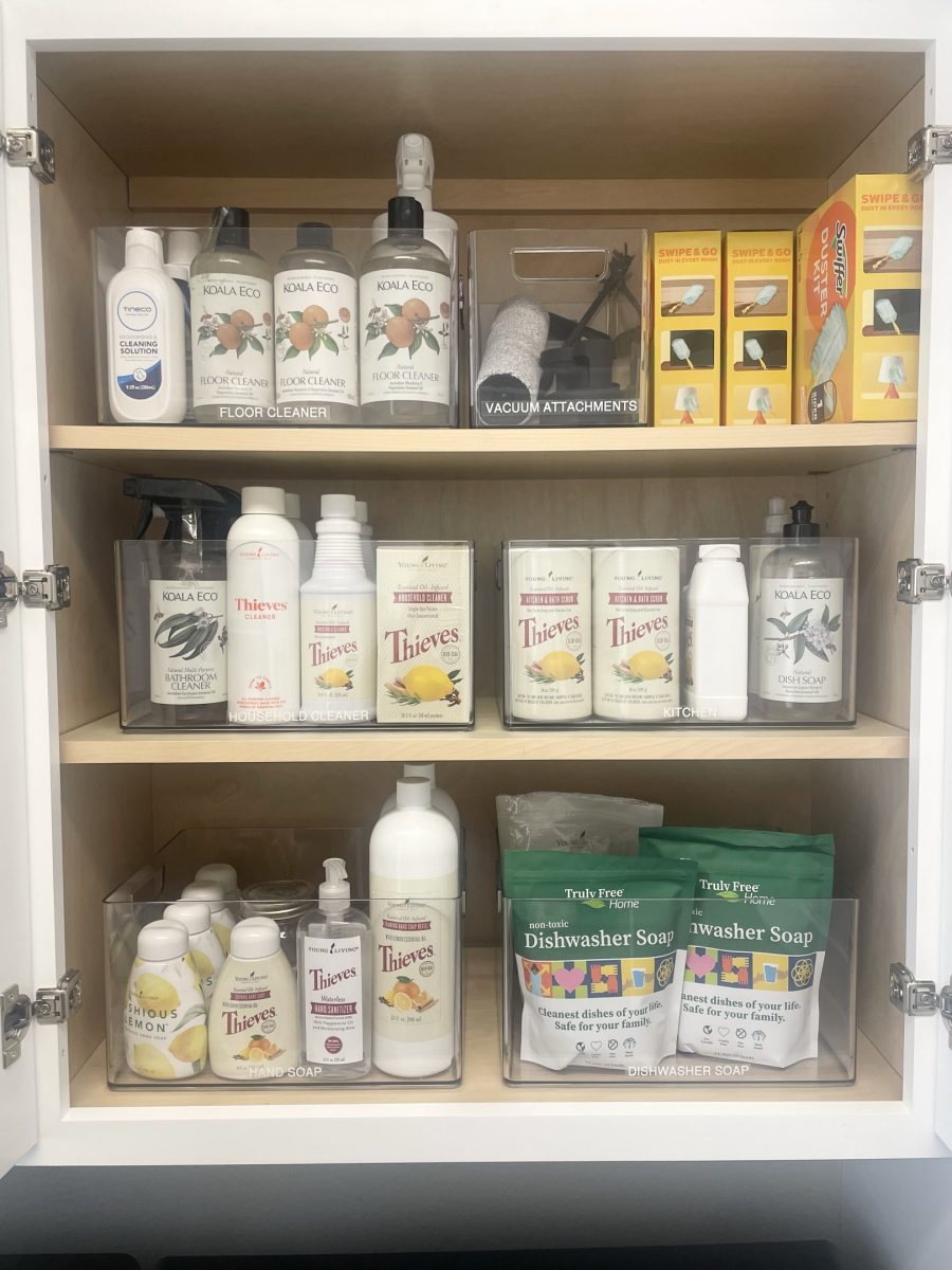 A cleaning cabinet with sprays, refills and labeled vacuum attachments