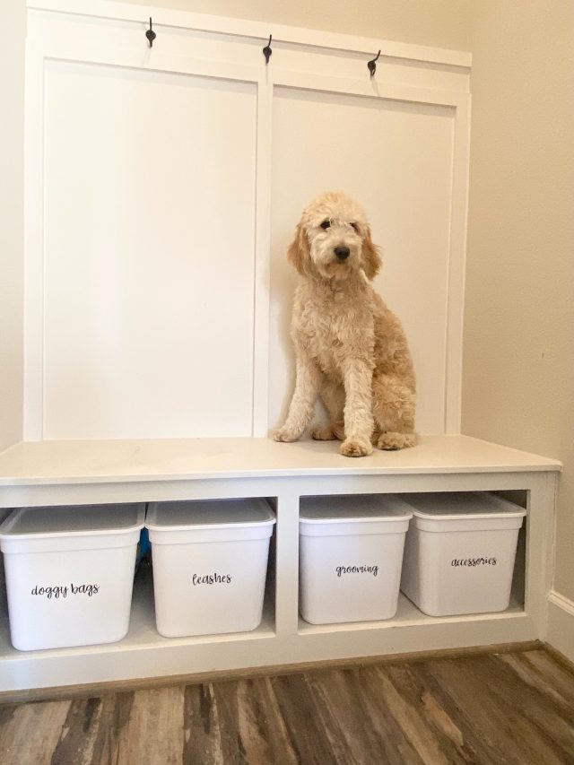 A mudroom bench with labeled bins beneath it and a dog sitting on top