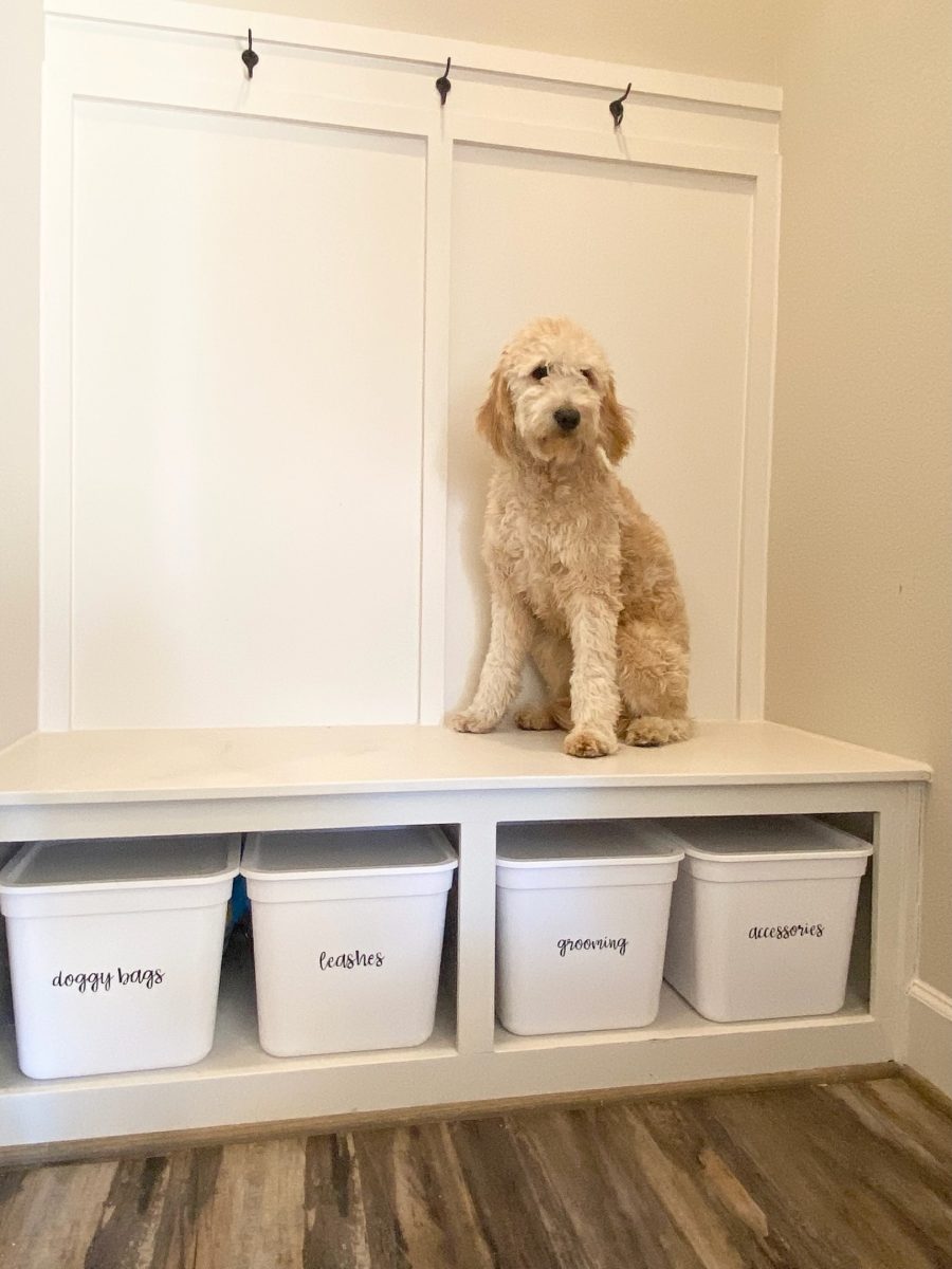 A mudroom bench with labeled bins beneath it and a dog sitting on top